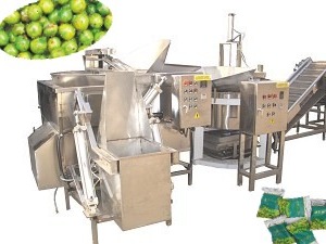 Semi-automatic production line FD fried green beans
