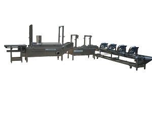 FD3200-W deep-fried honey fruit fully automated production line