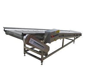 Stainless steel conveyor